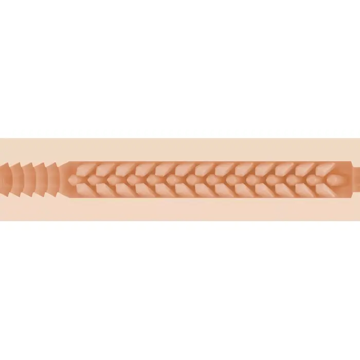 Masturbator Fleshlight Jenna Haze 241.3 mm Photo 2