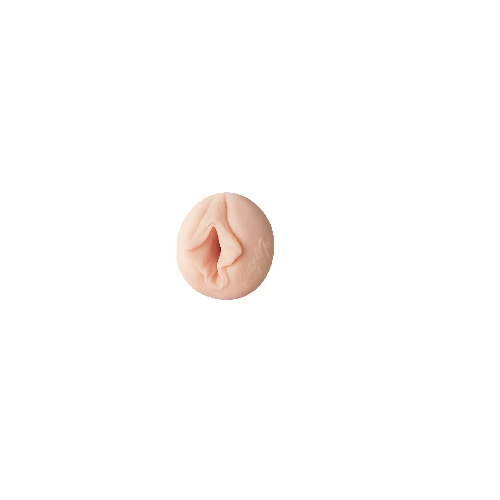 Fleshlight Christy Mack FLE134-CHRISTY-VAGINAL Photo 1