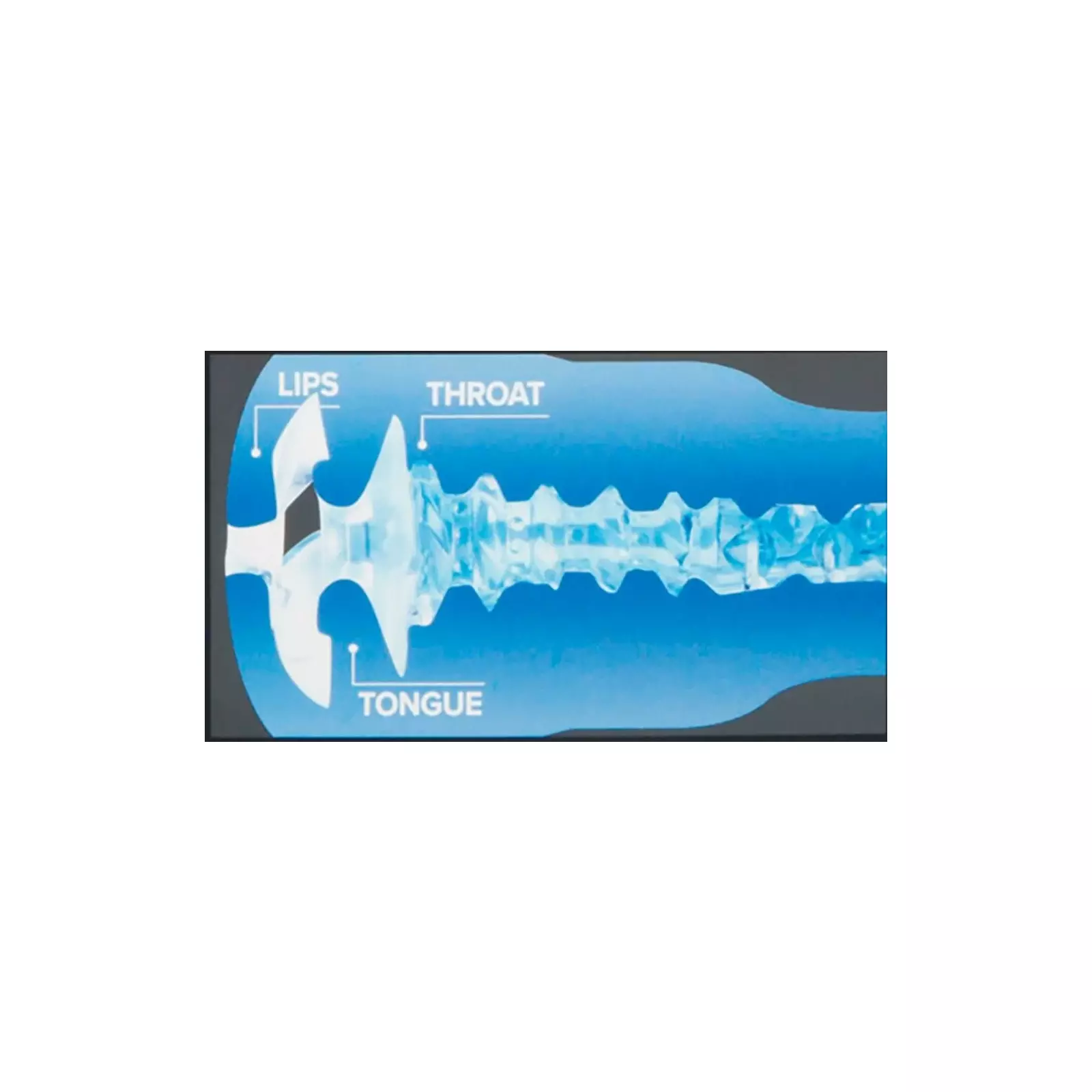 Fleshlight 05313590000 4024144540891 Photo 4