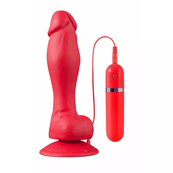 Anal vibrator NMC Shove up Butt Vibrator
