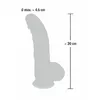 Dildo You2Toys medicīniskā silikona 20 cm Photo 7