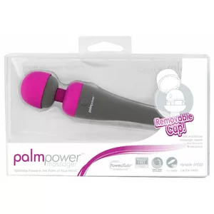 PalmPower Massager
