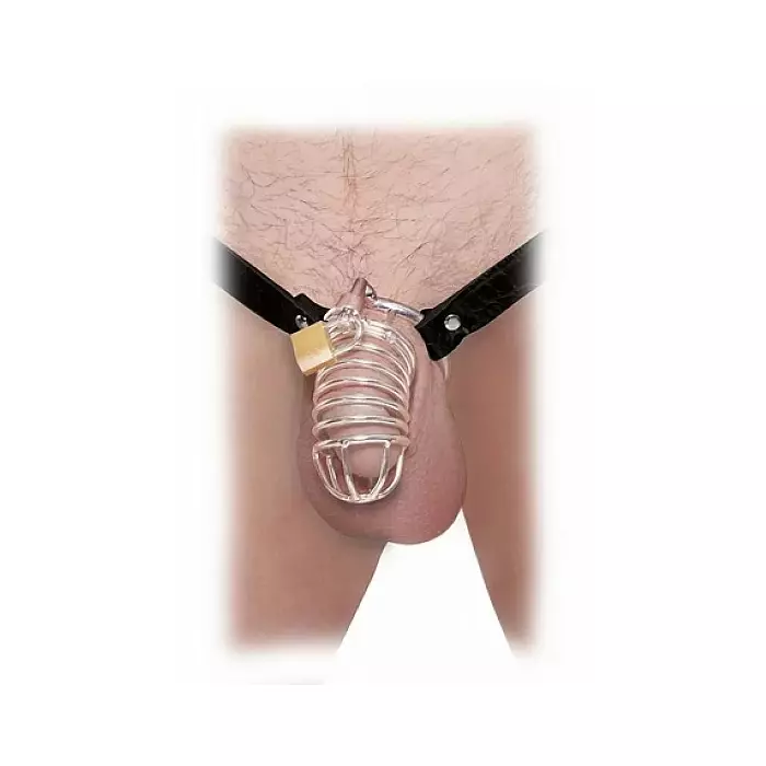 Пояс верности PIPEDREAM Fetish Fantasy Extreme Photo 2