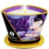 Массажная свеча SHUNGA Mini Caress 170 мл Photo 3