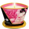 Массажная свеча SHUNGA Mini Caress 170 мл Photo 3
