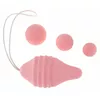 Терапевтические шарики Femintimate Pelvix Concept 05350870000 Photo 2
