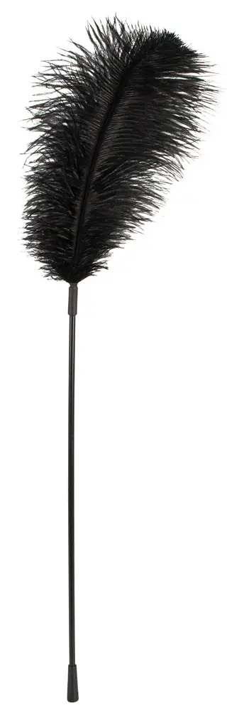 Feather accessory Bad Kitty — ostrich feather on 38 cm wand Photo 5