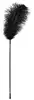 Feather accessory Bad Kitty — ostrich feather on 38 cm wand Photo 5