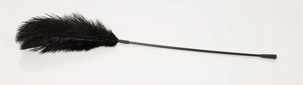 Feather accessory Bad Kitty — ostrich feather on 38 cm wand Photo 6