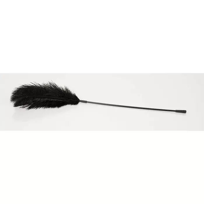 Feather accessory Bad Kitty — ostrich feather on 38 cm wand Photo 2