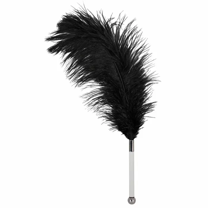 Feather accessory bad kitty 24917291000 Photo 2
