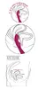 Vibrator Sweet Smile A&G-Spot — silicone G-spot stimulator Photo 17