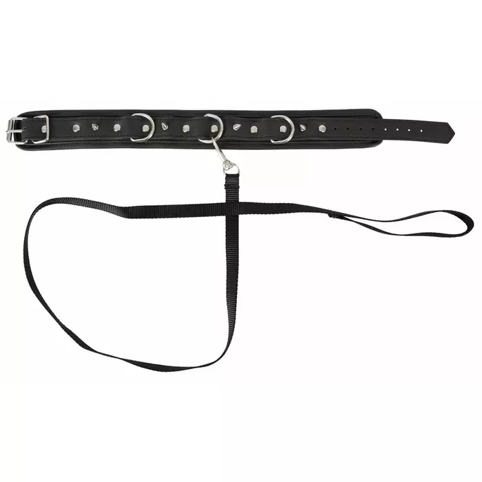 Vegan Fetish Collar — adjustable vegan collar with leash Photo 4