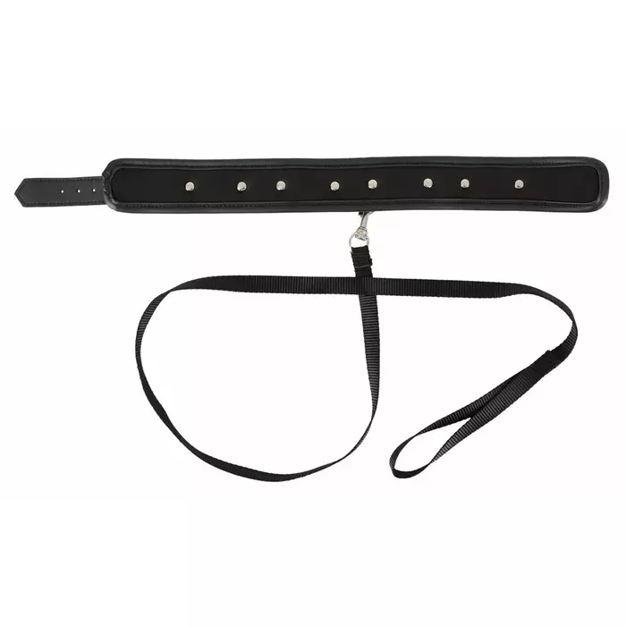 Vegan Fetish Collar — adjustable vegan collar with leash Photo 5