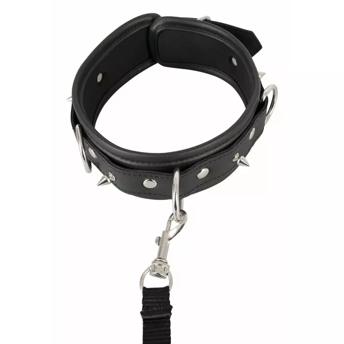 Vegan Fetish Collar — adjustable vegan collar with leash Photo 6