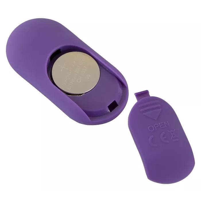 Panty vibrator Sweet Smile RC Panty Vibrator Photo 6