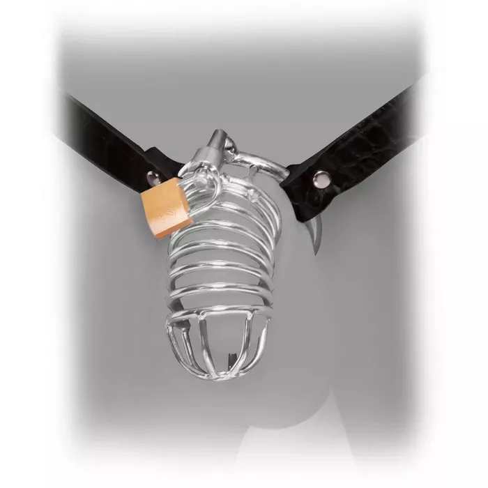 Vērtnes josta PIPEDREAM FFE Extreme Chastity Belt Photo 3
