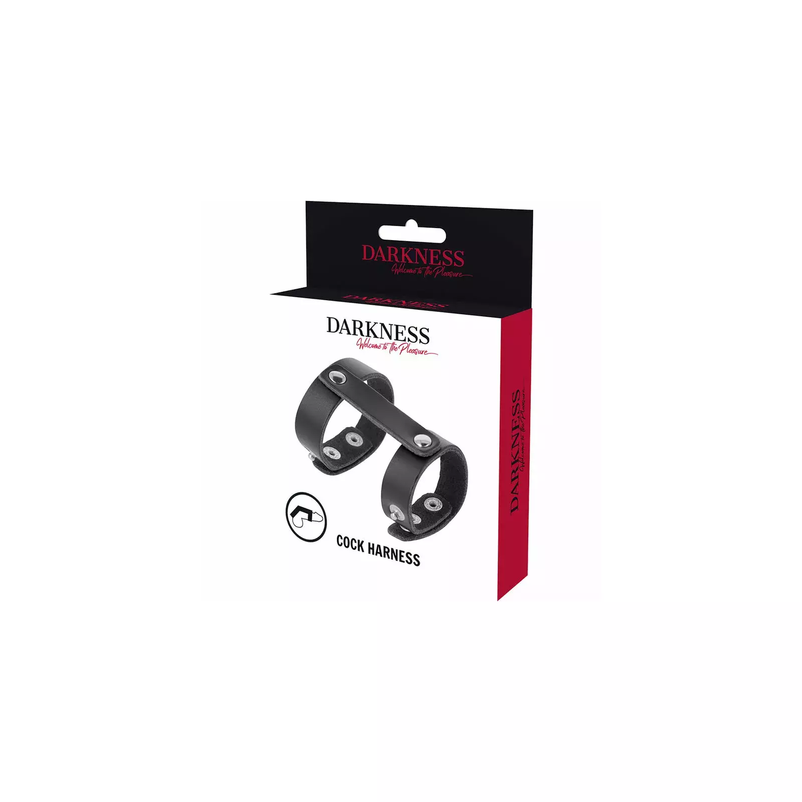 Penis and Testicle Ring DARKNESS D-226731 Photo 4