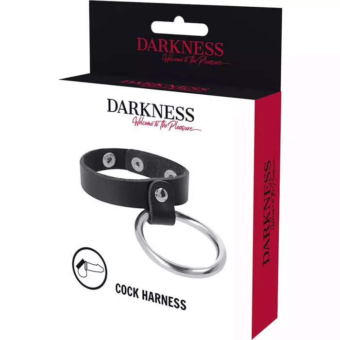 Кольцо для пениса и яичек DARKNESS D-226733 Photo 3