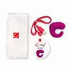 GVIBE D-221833 Photo 2