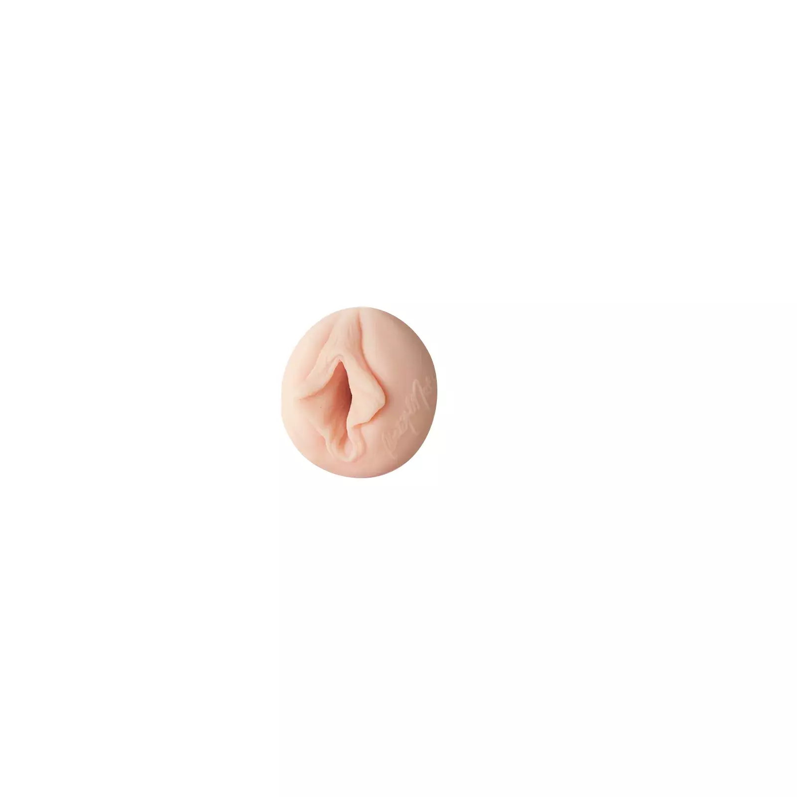 Fleshlight Christy Mack FLE134-CHRISTY-VAGINAL Photo 1