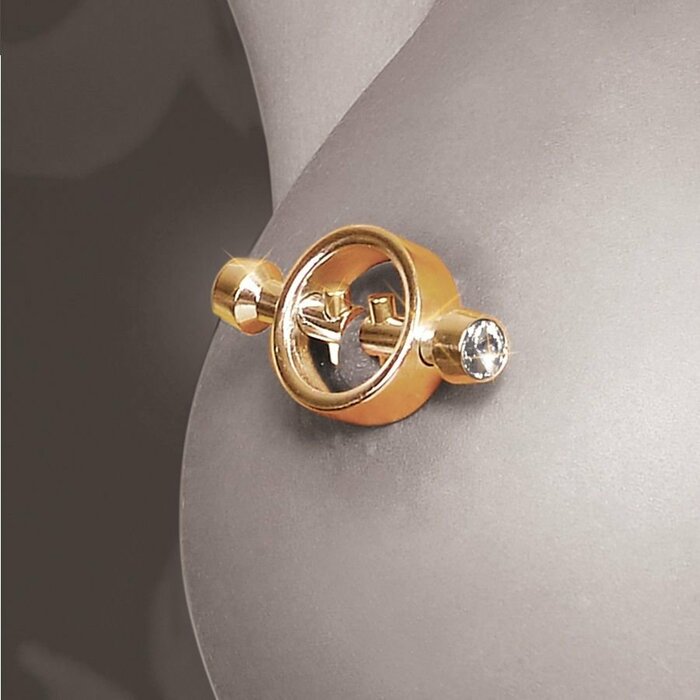 Make your nipples perk with pleasure with these luxurious Magnetic Nipple C...