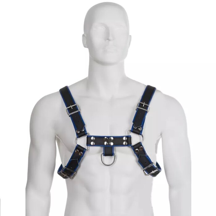 Leash and Collars