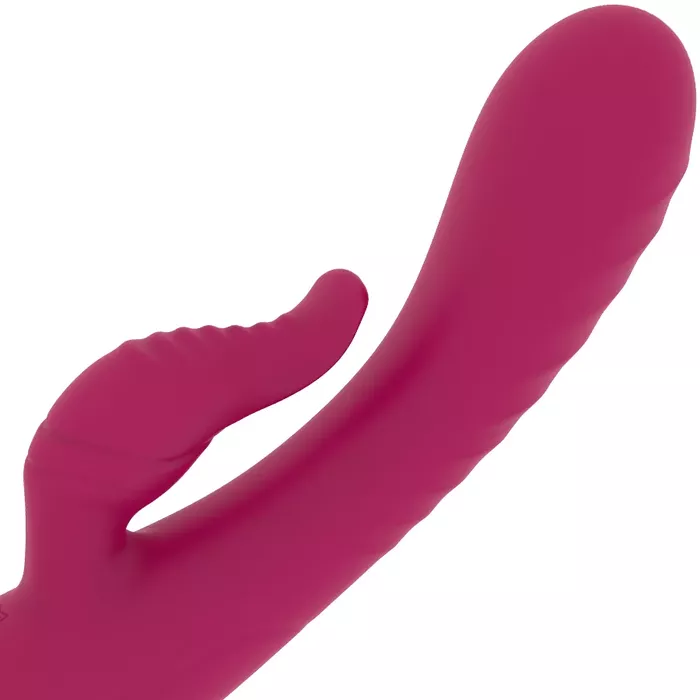 RITHUAL ANUSARA DUAL RECHARGEABLE ENGINE 2.0 vibrator Photo 6