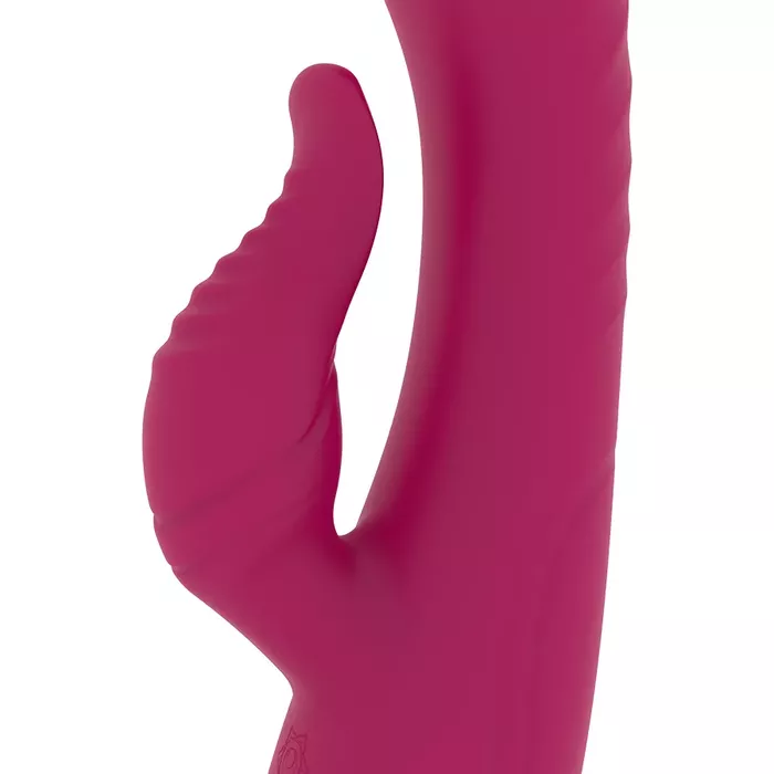 RITHUAL ANUSARA DUAL RECHARGEABLE ENGINE 2.0 vibrator Photo 7