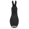 Lovehoney Fifty Shades of Grey Greedy Girl Clitoral Rabbit FIF248 Photo 2