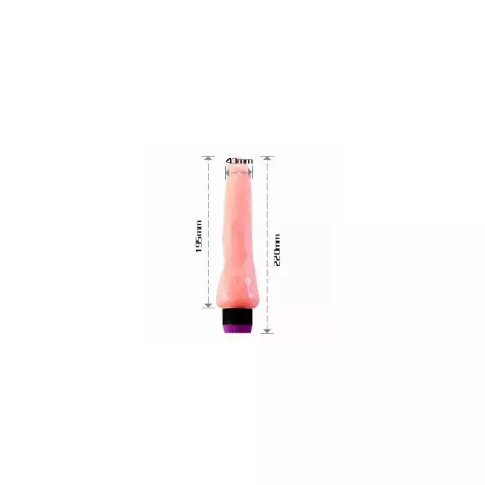 Vibrators NMC BAILE Realistic 19,5 cm Photo 3