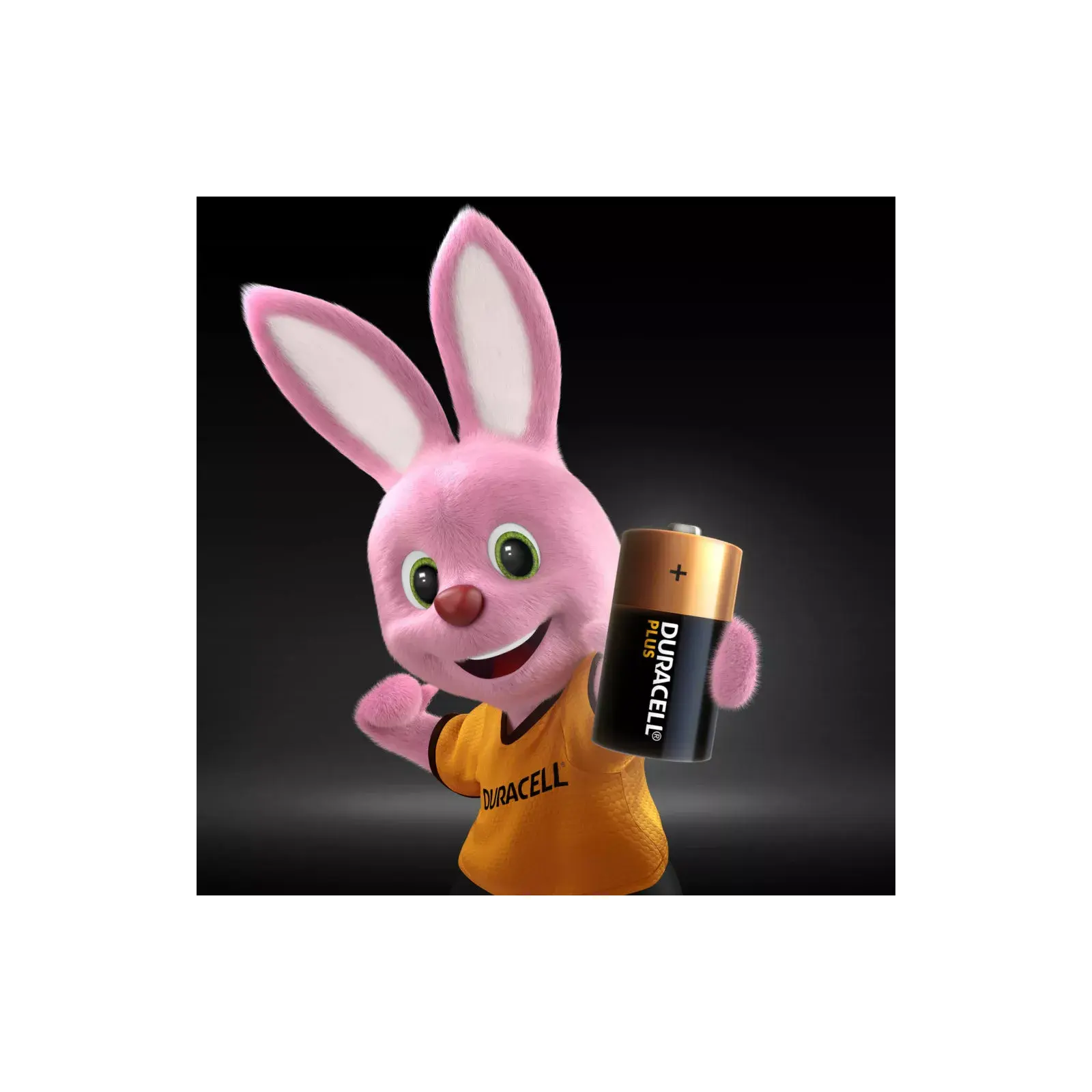 Duracell Plus 5005989 Photo 2