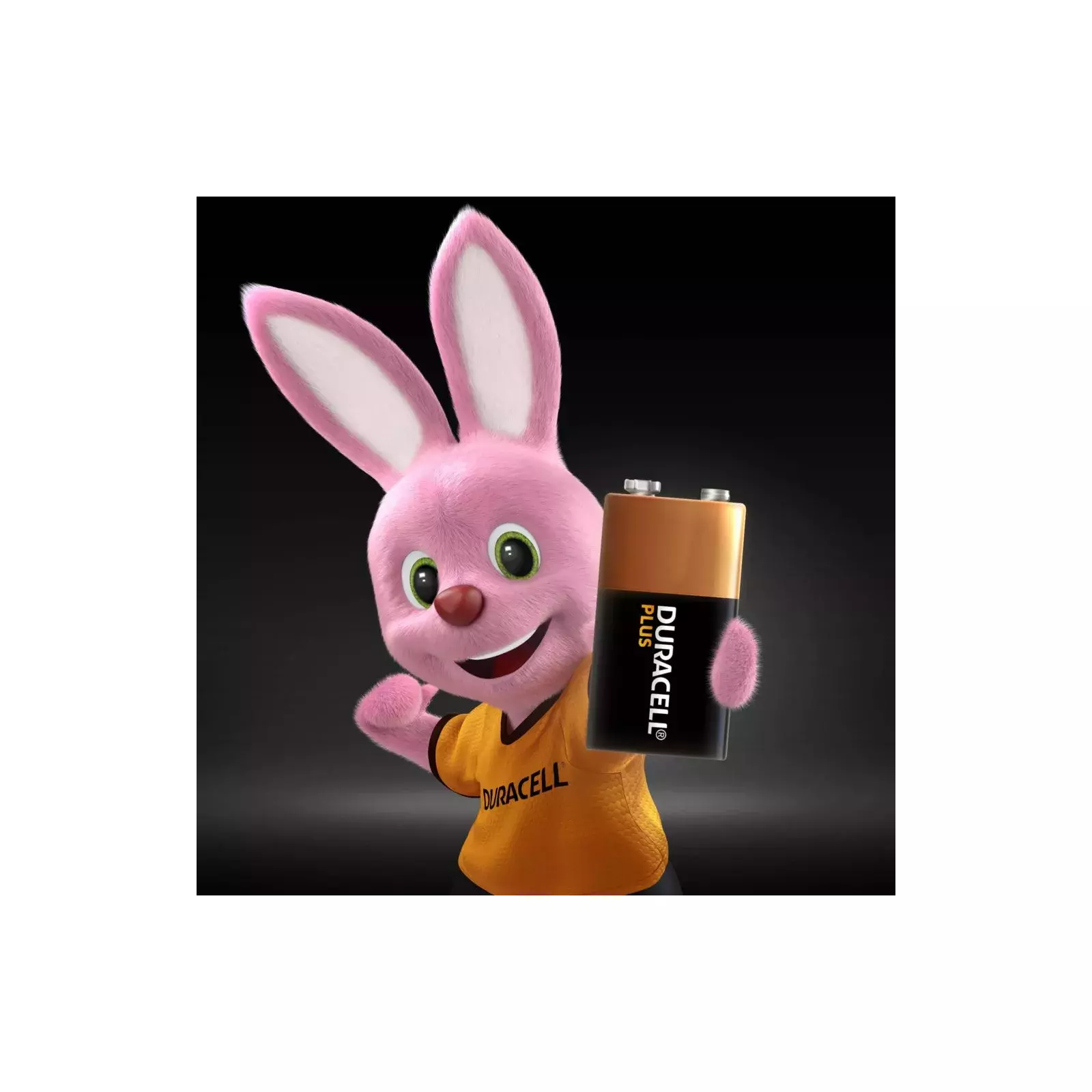 Duracell Plus 5006003 Photo 2