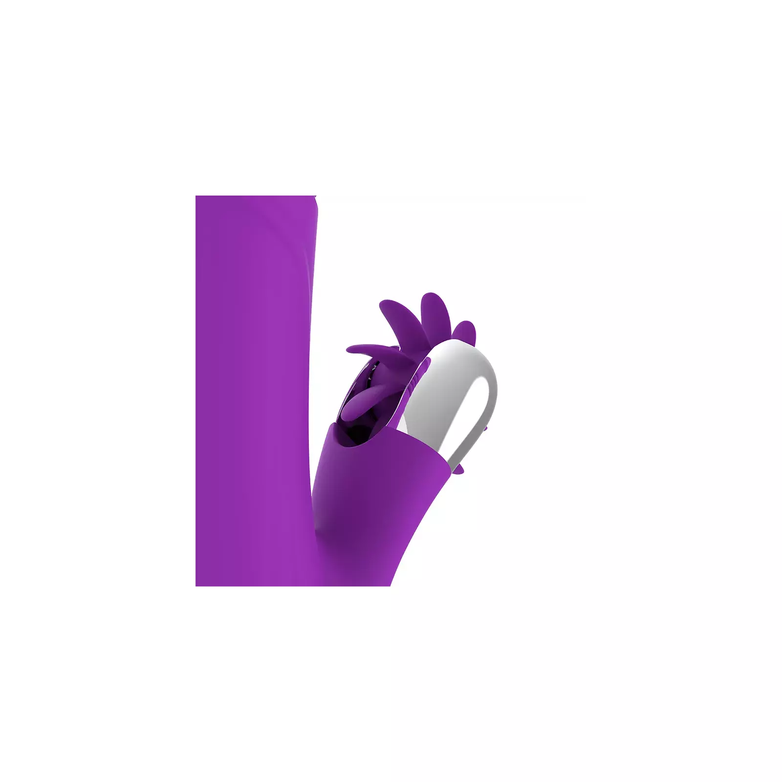 Vibrators Fun Function Bunny Funny Up & Down 2.0 Photo 7