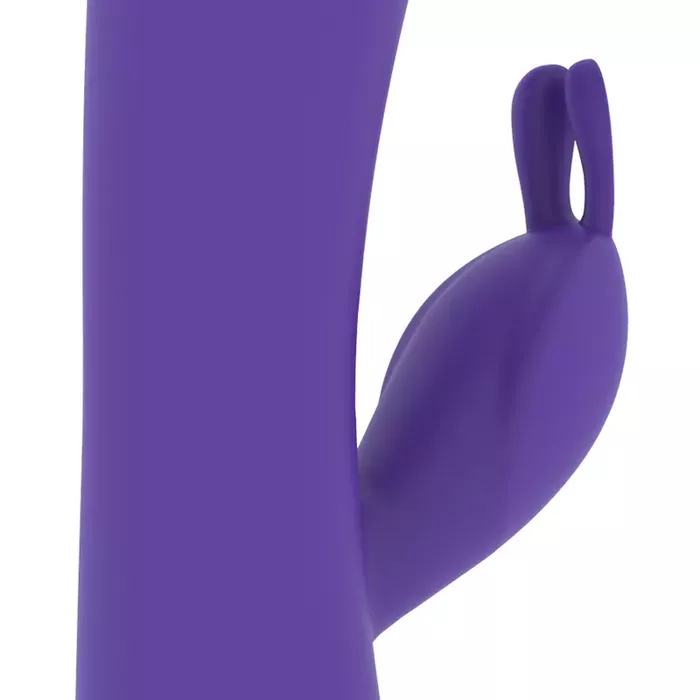 Vibrator mr. boss Aitor Rabbit Photo 8