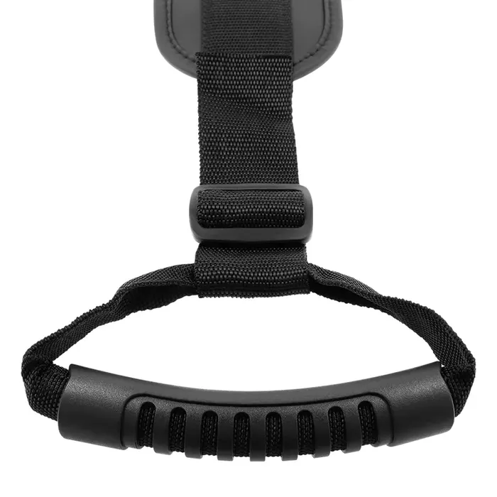 Harness fetishsubmissive Doggy Style harness Photo 5