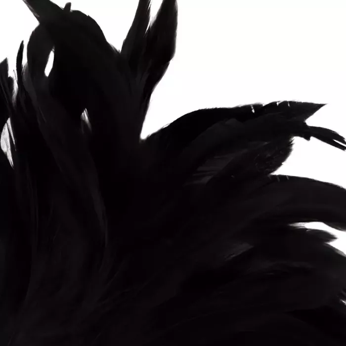Feather tickler DARKNESS Black Lux stimulating pen Photo 3