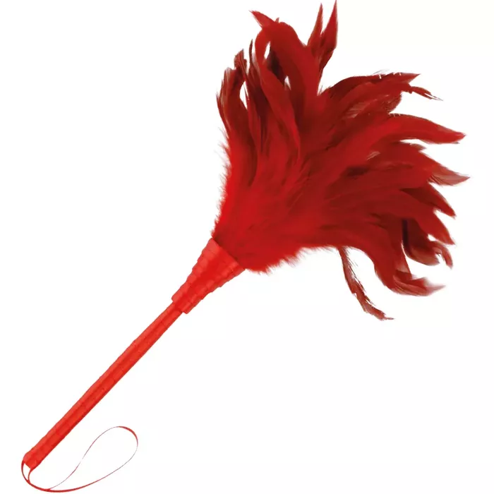 Перо-щекоталка DARKNESS Red Stimulating Pen 24 см Photo 3