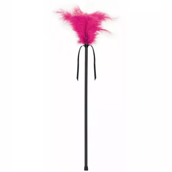 Spalvu kutinātājs SECRETPLAY Pink Feathers 40 cm Photo 3