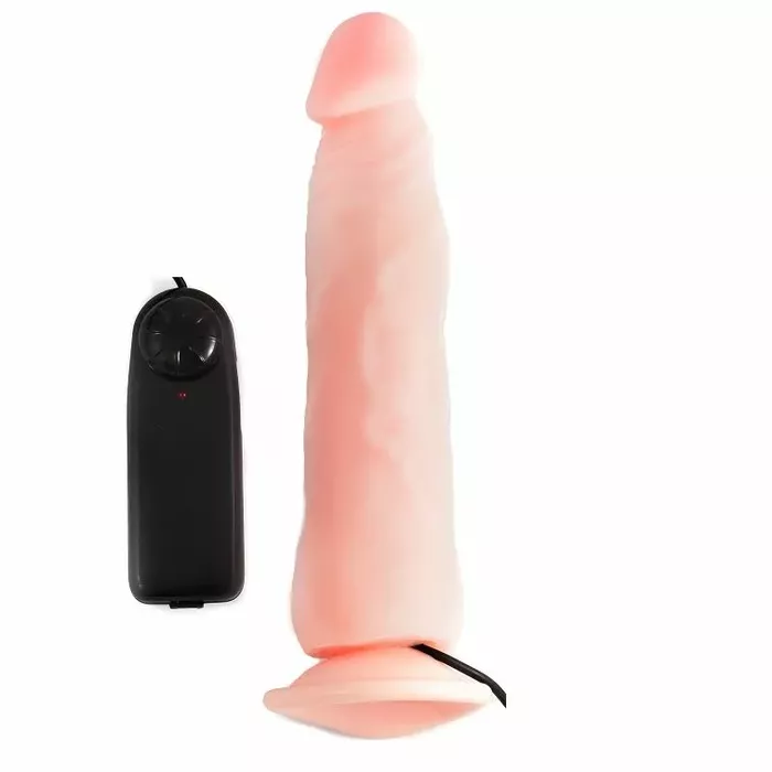 Dildo BAILE Realistic Penis Love Clone 22,3 cm Photo 3
