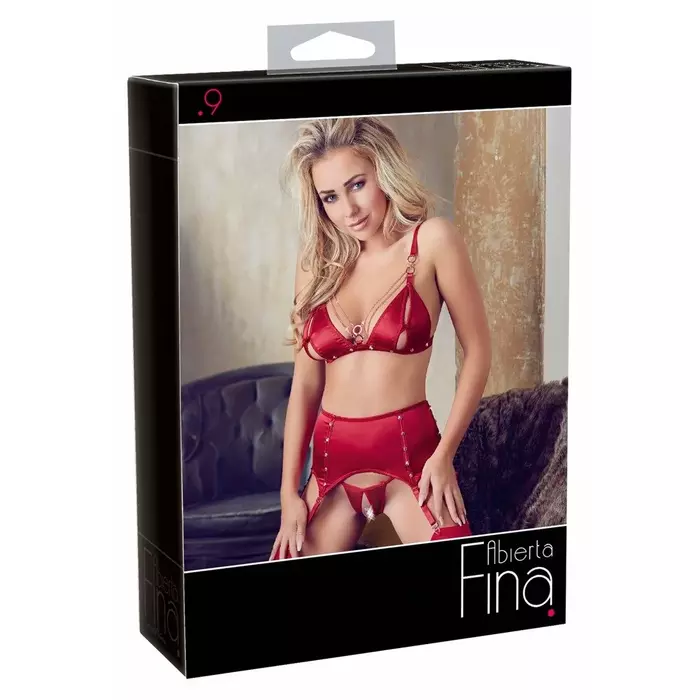 Комплект бюстгальтера и подвязок Abierta Fina XL 22135833051 Photo 1