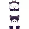 Apakšveļas komplekts abierta fina Shelf Bra Set 85B/L Photo 8