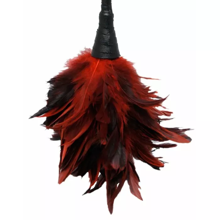 Перышко-щекотка PIPEDREAM FFS Frisky Feather Duster Photo 2