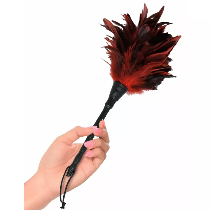 Перышко-щекотка PIPEDREAM FFS Frisky Feather Duster Photo 3