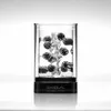 Мастурбатор TENGA CRYSTA STROKER BALL Photo 5