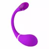 Kiiroo D-227173 857063008883 Photo 4