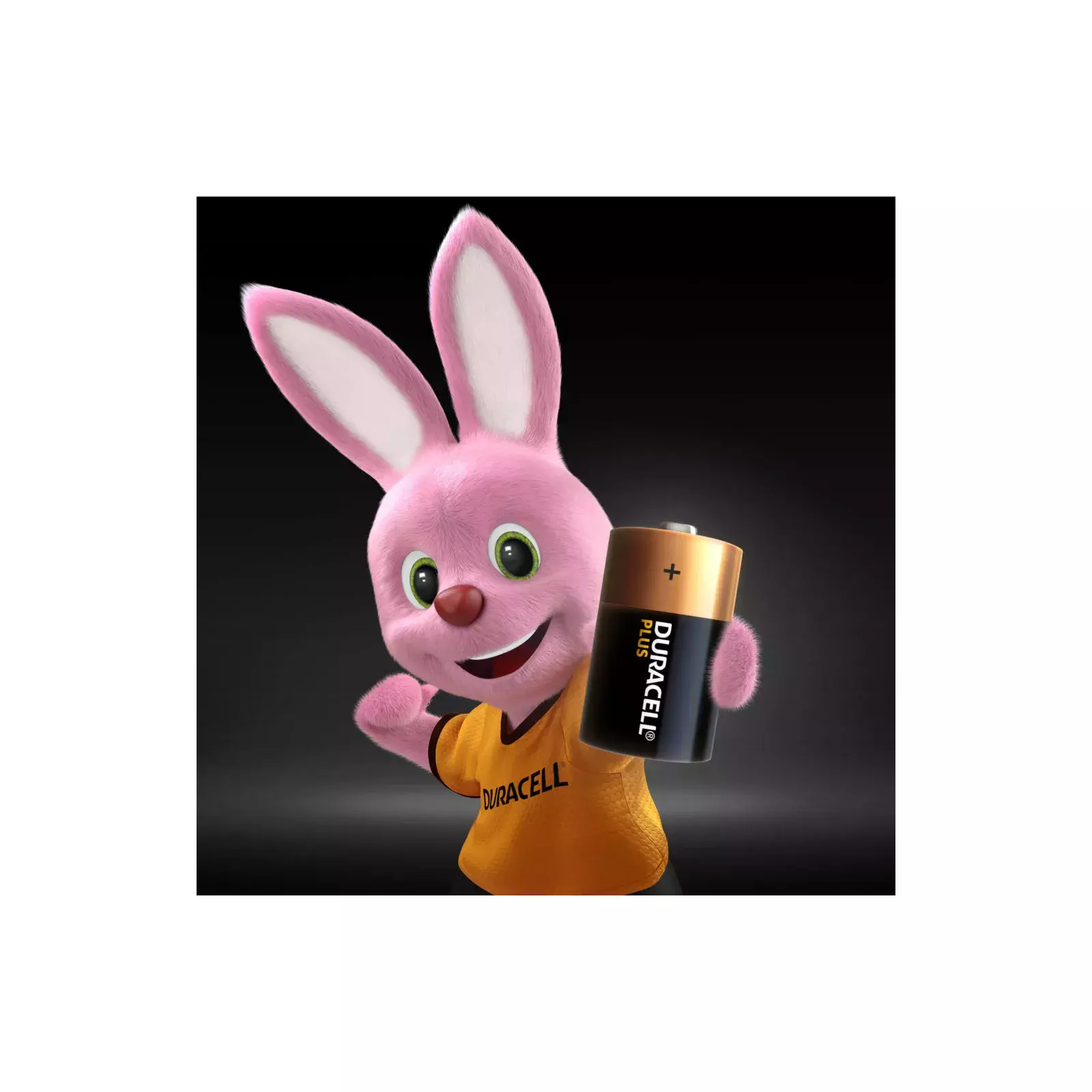 Duracell Plus 5005975 Photo 2