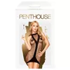 Penthouse D-227702 Photo 3