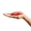 We-Vibe Touch X 4251460603935 Photo 6
