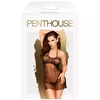 Penthouse D-227405 Photo 3